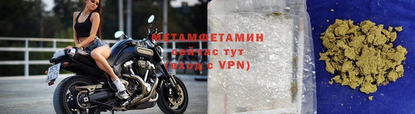 ГАЛЛЮЦИНОГЕННЫЕ ГРИБЫ Козловка