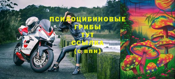 ECSTASY Козельск