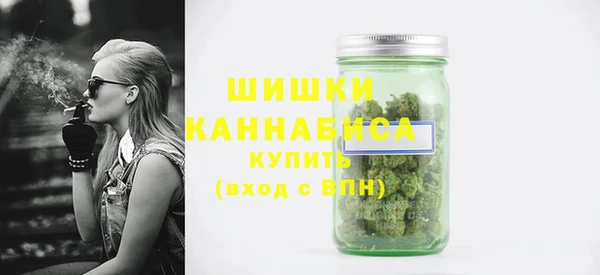 ГАЛЛЮЦИНОГЕННЫЕ ГРИБЫ Козловка