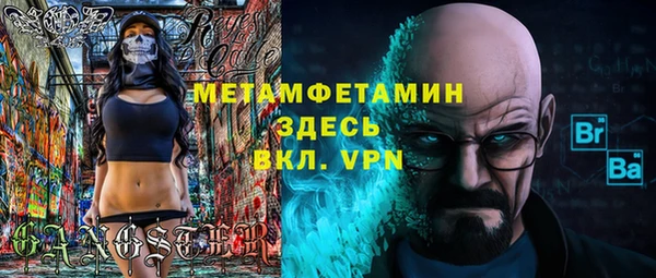 ГАЛЛЮЦИНОГЕННЫЕ ГРИБЫ Козловка