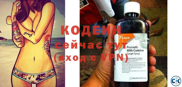 ГАЛЛЮЦИНОГЕННЫЕ ГРИБЫ Козловка