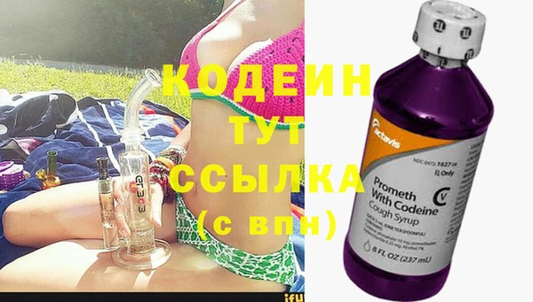 ГАЛЛЮЦИНОГЕННЫЕ ГРИБЫ Козловка