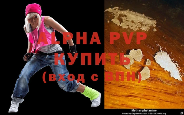 ГАЛЛЮЦИНОГЕННЫЕ ГРИБЫ Козловка