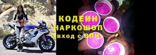 ГАЛЛЮЦИНОГЕННЫЕ ГРИБЫ Козловка